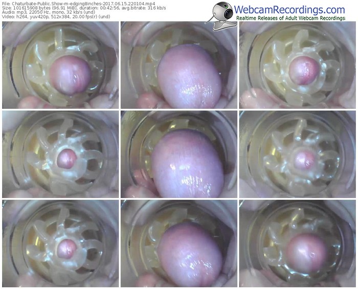 chaturbate-edging8inches-webcam-show-06_15_2017-22_01_04