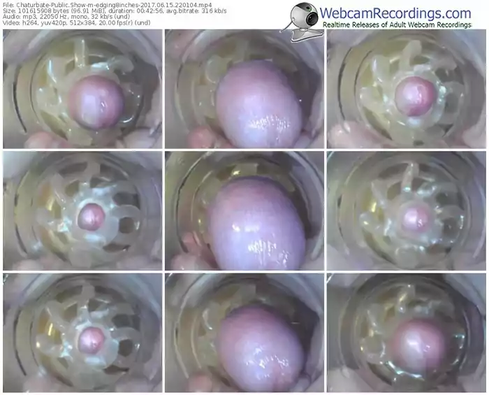 chaturbate-edging8inches-webcam-show-06_15_2017-22_01_04