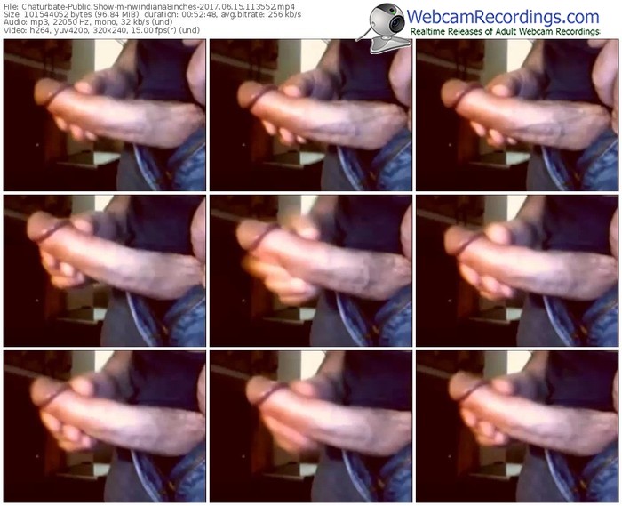 chaturbate-nwindiana8inches-webcam-show-06_15_2017-11_35_52