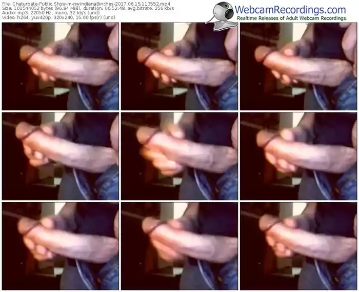 chaturbate-nwindiana8inches-webcam-show-06_15_2017-11_35_52