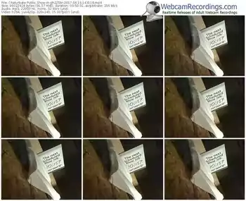 chaturbate-gh225br-webcam-show-06_16_2017-14_31_18