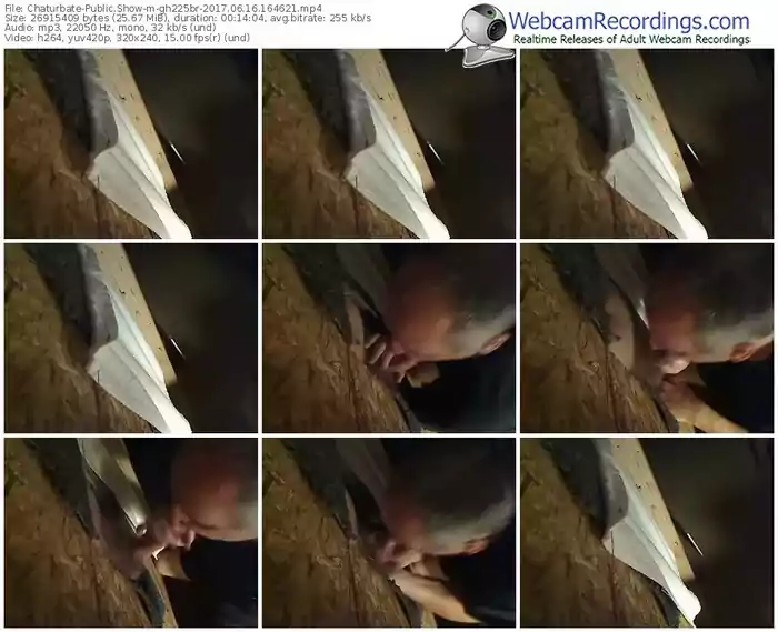 chaturbate-gh225br-webcam-show-06_16_2017-16_46_21