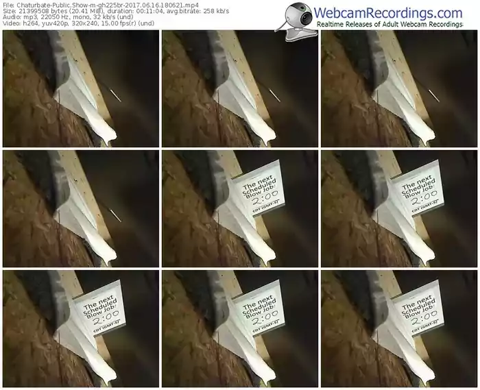 chaturbate-gh225br-webcam-show-06_16_2017-18_06_21