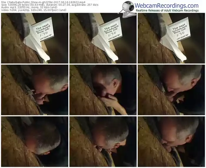 chaturbate-gh225br-webcam-show-06_16_2017-18_26_22