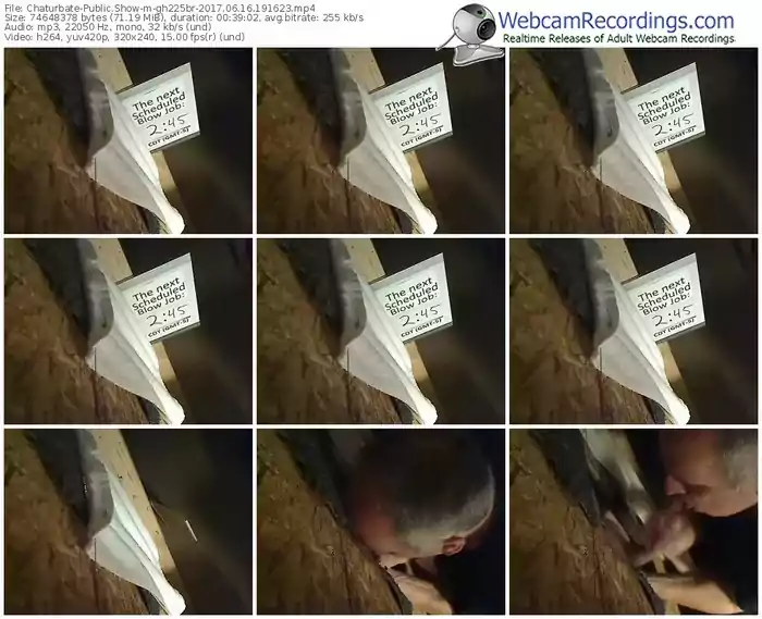 chaturbate-gh225br-webcam-show-06_16_2017-19_16_23