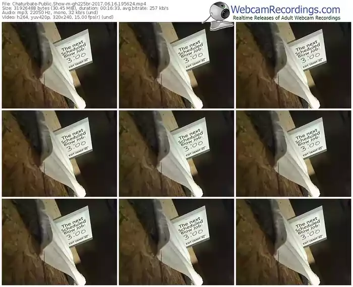 chaturbate-gh225br-webcam-show-06_16_2017-19_56_24