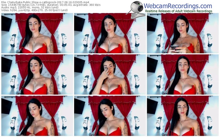 chaturbate-catbigcock-webcam-show-06_16_2017-02_30_05