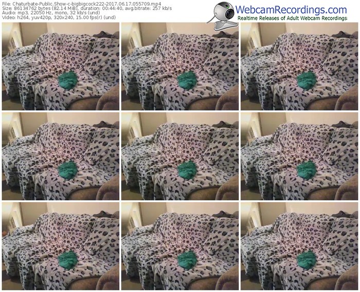 chaturbate-bigbigcock222-webcam-show-06_17_2017-05_57_09