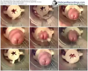 chaturbate-geeky_dick-webcam-show-06_17_2017-15_16_43