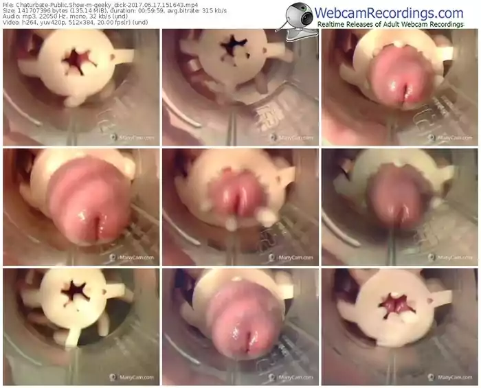 chaturbate-geeky_dick-webcam-show-06_17_2017-15_16_43