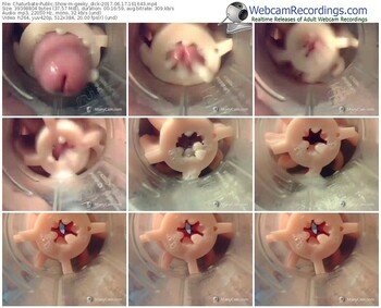 chaturbate-geeky_dick-webcam-show-06_17_2017-16_16_43