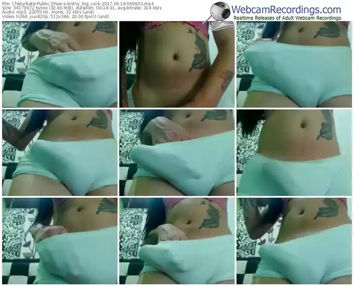 chaturbate-britny_big_cock-webcam-show-06_18_2017-06_06_02