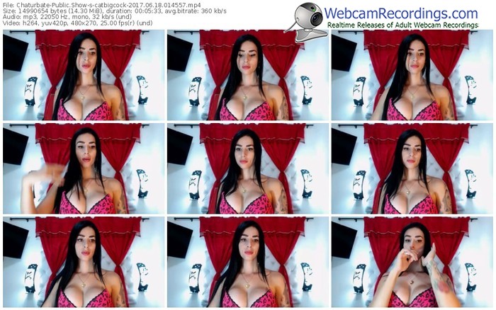 chaturbate-catbigcock-webcam-show-06_18_2017-01_45_57