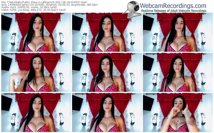 chaturbate-catbigcock-webcam-show-06_18_2017-01_45_57