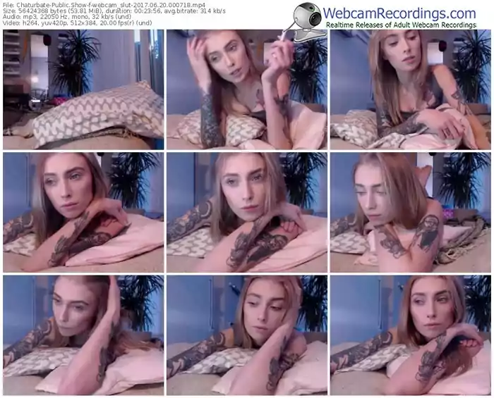 chaturbate-webcam_slut-webcam-show-06_20_2017-00_07_18