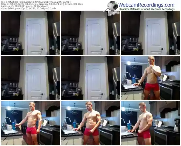 chaturbate-finch93-webcam-show-06_20_2017-20_47_57