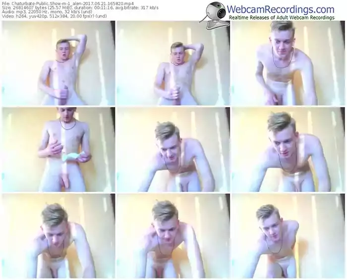 chaturbate-1_alen-webcam-show-06_21_2017-16_58_20