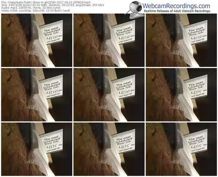 chaturbate-gh225br-webcam-show-06_21_2017-20_58_26
