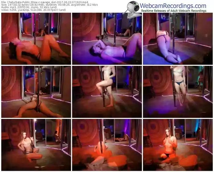 chaturbate-savage_slut-webcam-show-06_22_2017-07_19_20