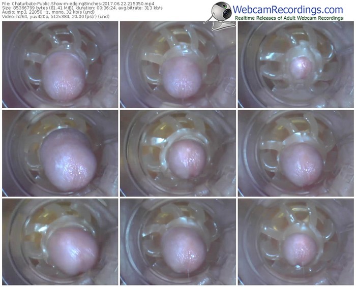 chaturbate-edging8inches-webcam-show-06_22_2017-21_53_50