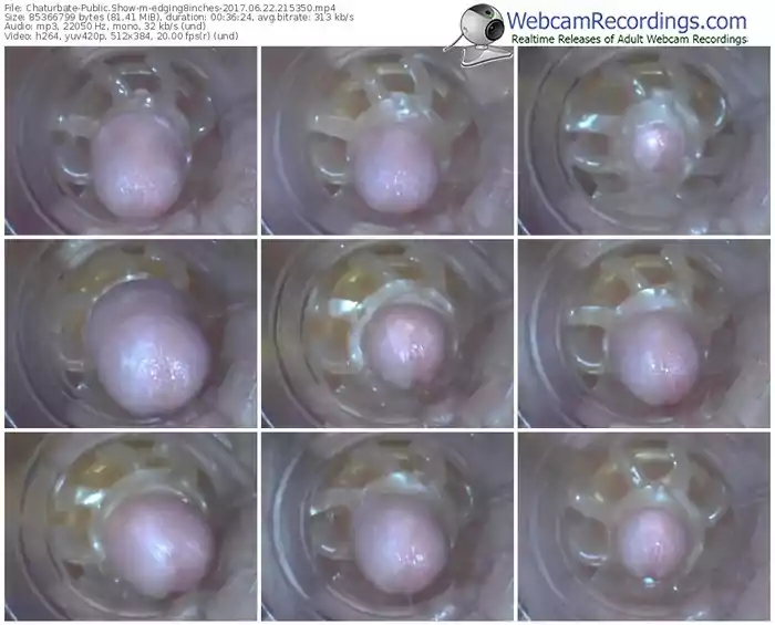 chaturbate-edging8inches-webcam-show-06_22_2017-21_53_50