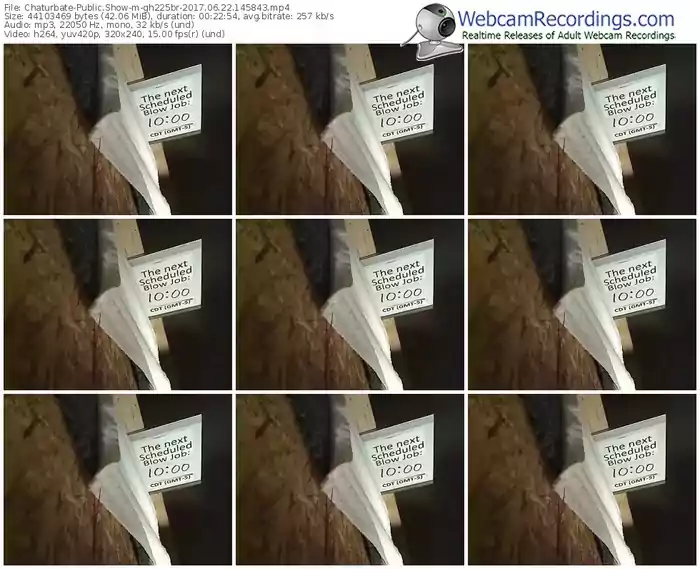 chaturbate-gh225br-webcam-show-06_22_2017-14_58_43