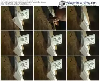 chaturbate-gh225br-webcam-show-06_22_2017-21_08_50