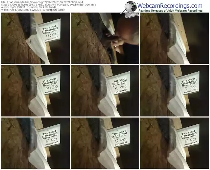 chaturbate-gh225br-webcam-show-06_22_2017-21_08_50