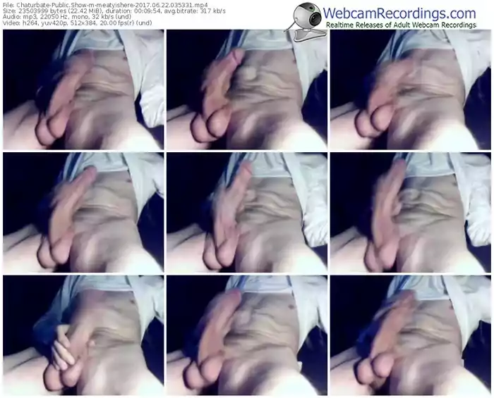 chaturbate-meatyishere-webcam-show-06_22_2017-03_53_31