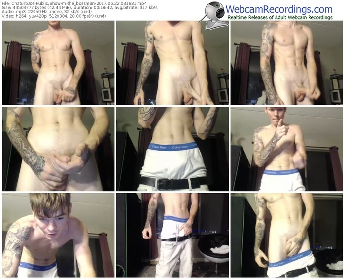 chaturbate-the_bossman-webcam-show-06_22_2017-03_18_31