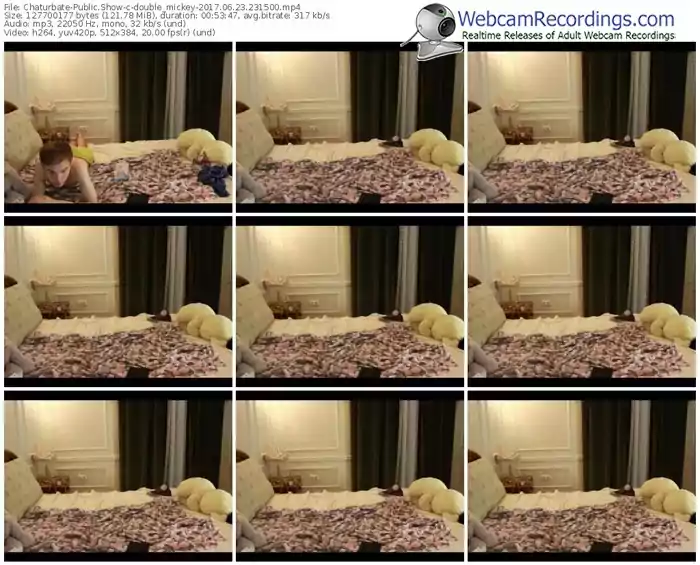 chaturbate-double_mickey-webcam-show-06_23_2017-23_15_00