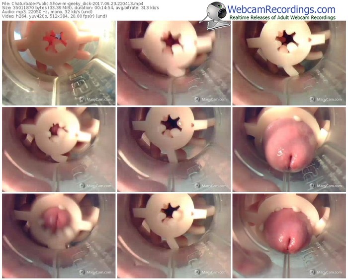 chaturbate-geeky_dick-webcam-show-06_23_2017-22_04_13