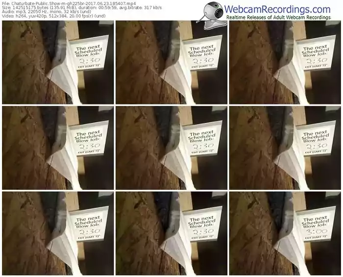 chaturbate-gh225br-webcam-show-06_23_2017-18_54_07