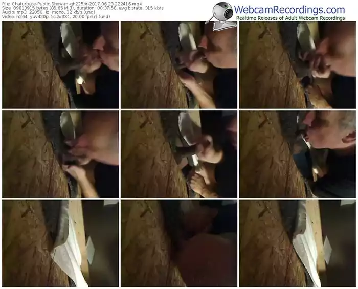 chaturbate-gh225br-webcam-show-06_23_2017-22_24_16