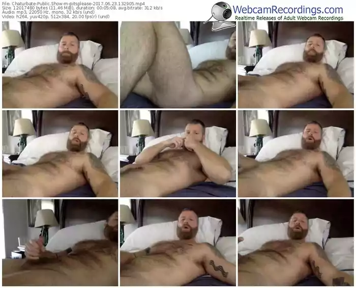 chaturbate-pitsplease-webcam-show-06_23_2017-13_29_05