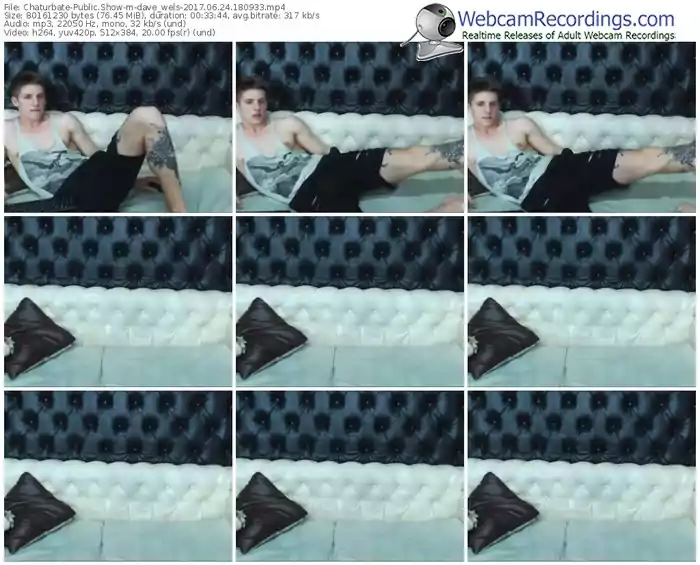 chaturbate-dave_wels-webcam-show-06_24_2017-18_09_33