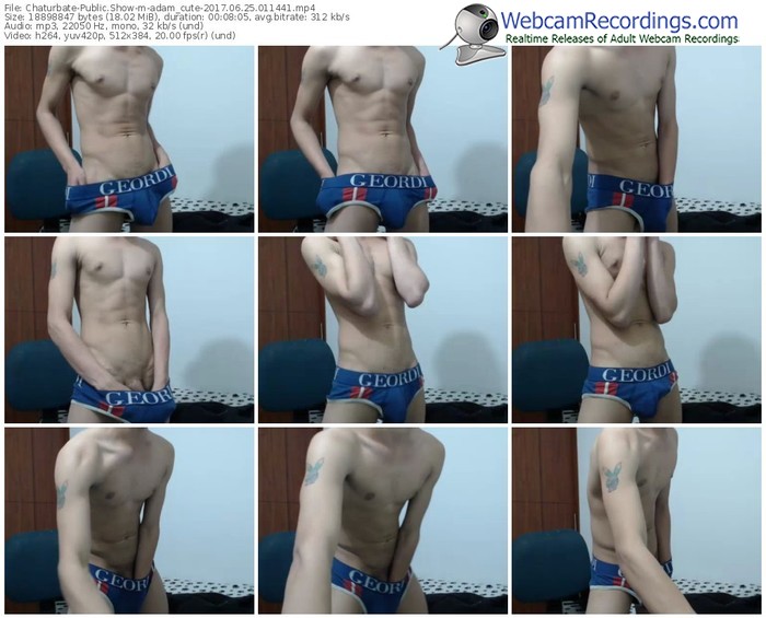 chaturbate-adam_cute-webcam-show-06_25_2017-01_14_41