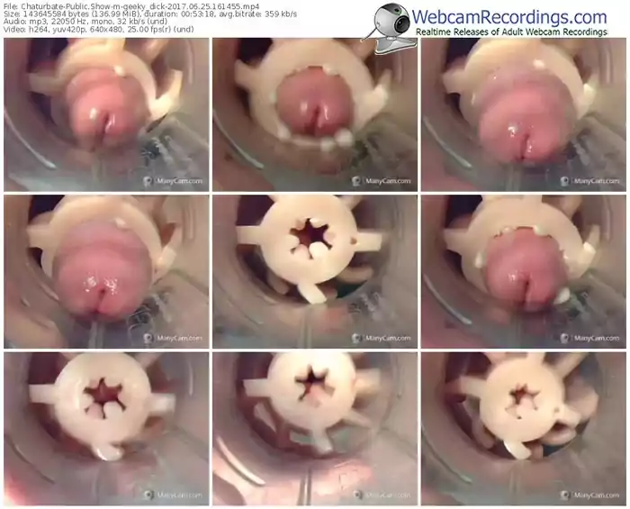 chaturbate-geeky_dick-webcam-show-06_25_2017-16_14_55