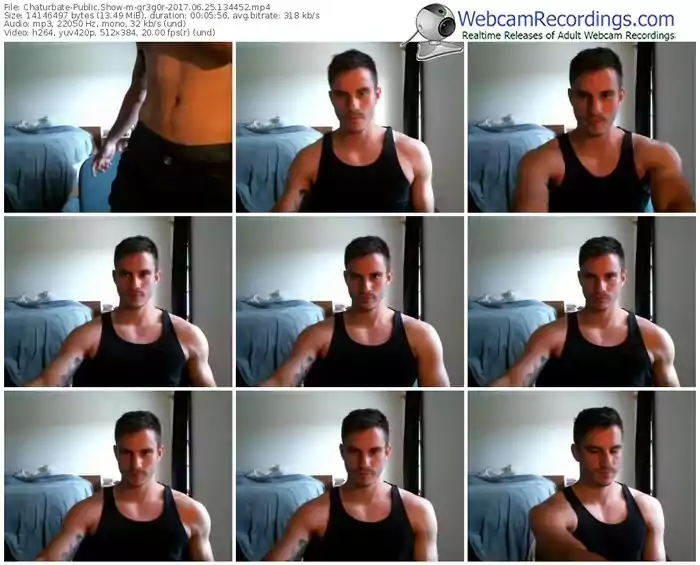 chaturbate-gr3g0r-webcam-show-06_25_2017-13_44_52