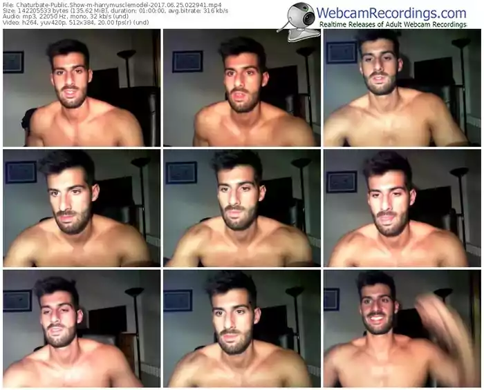 chaturbate-harrymusclemodel-webcam-show-06_25_2017-02_29_41