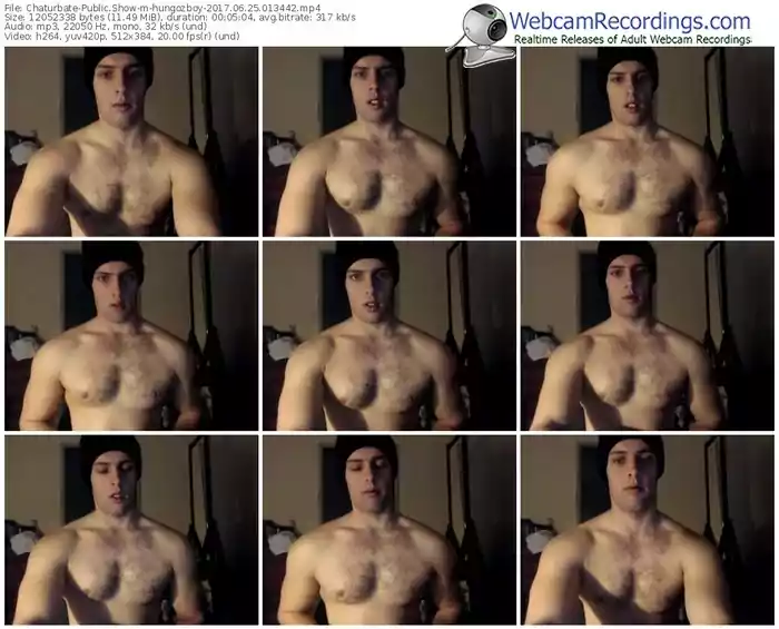 chaturbate-hungozboy-webcam-show-06_25_2017-01_34_42