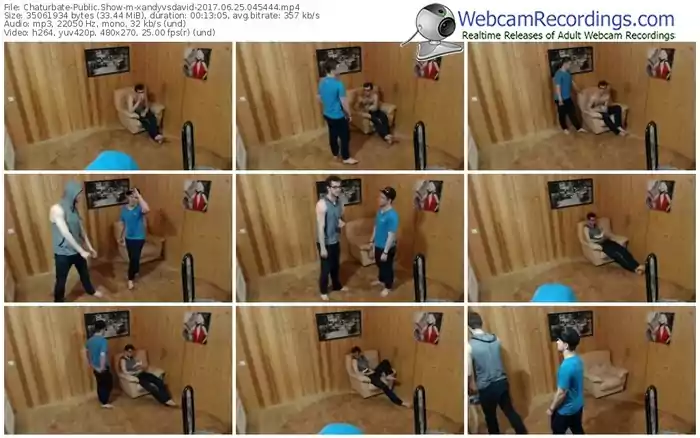 chaturbate-xandyvsdavid-webcam-show-06_25_2017-04_54_44