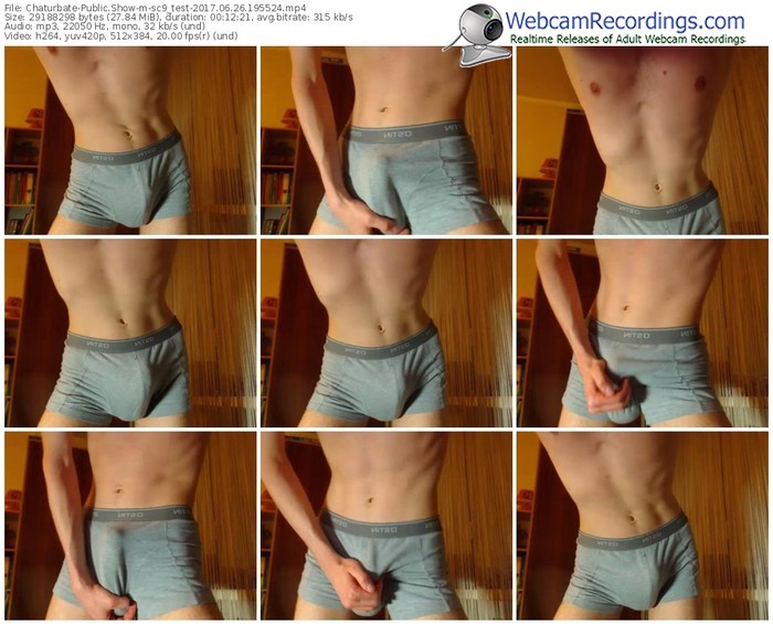 chaturbate-sc9_test-webcam-show-06_26_2017-19_55_24