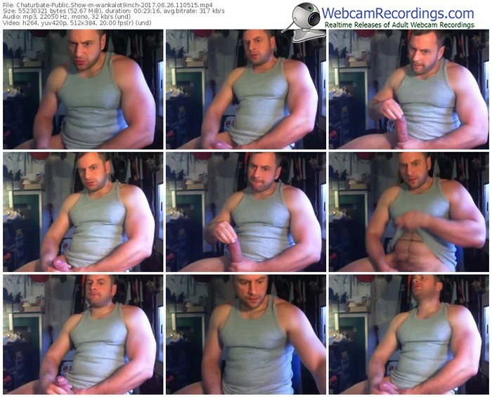 chaturbate-wankalot9inch-webcam-show-06_26_2017-11_05_15