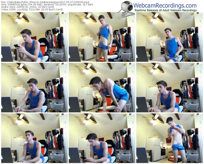 chaturbate-18aboveavgjoe-webcam-show-06_27_2017-03_45_30
