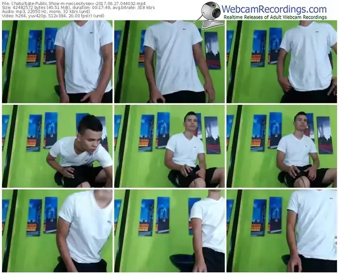 chaturbate-neccesitysexx-webcam-show-06_27_2017-04_40_32