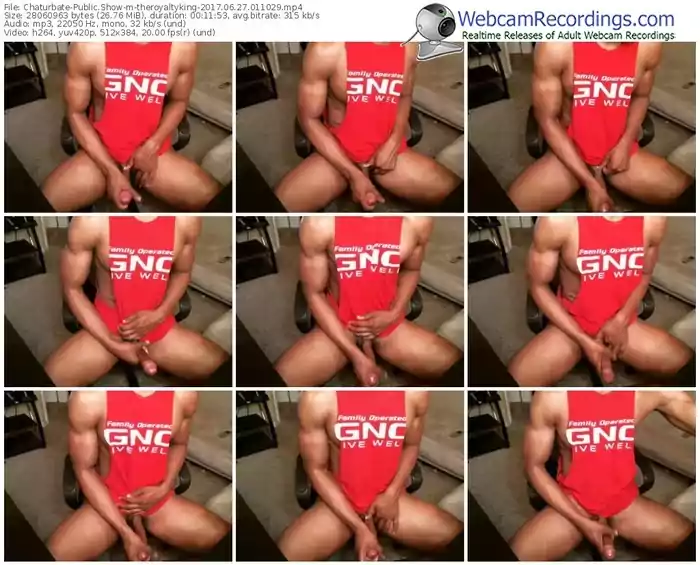 chaturbate-theroyaltyking-webcam-show-06_27_2017-01_10_29