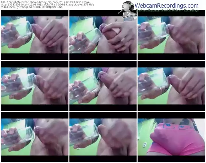 chaturbate-britny_big_cock-webcam-show-06_27_2017-18_25_17