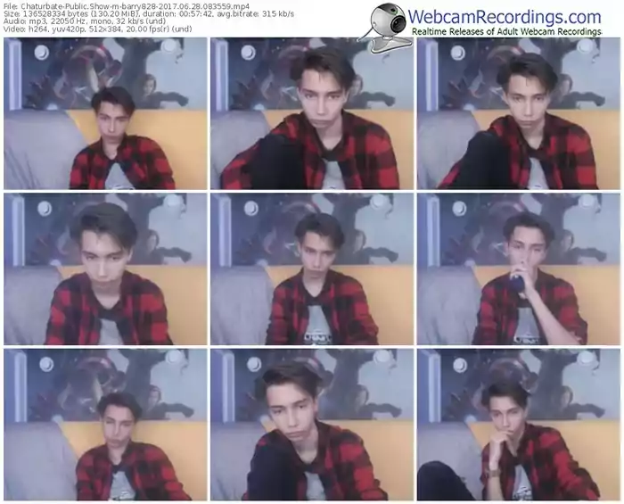 chaturbate-barry828-webcam-show-06_28_2017-08_35_59