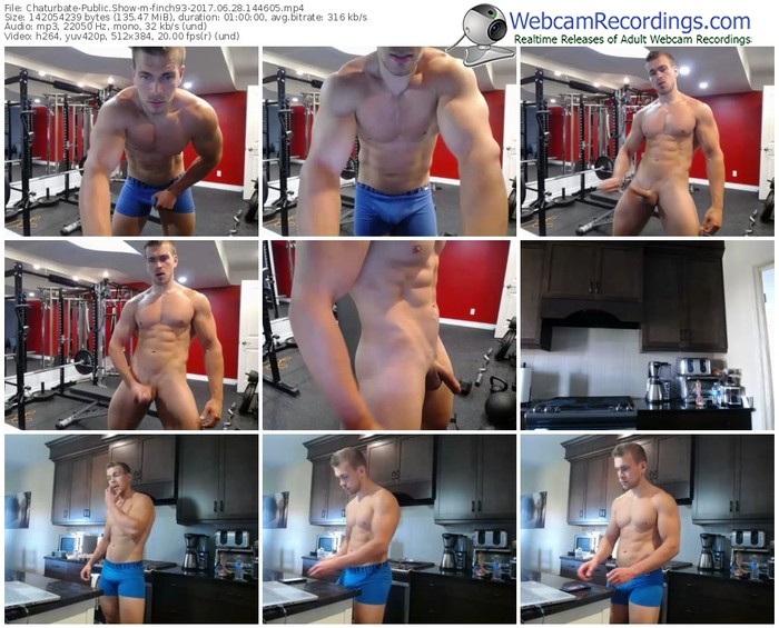 chaturbate-finch93-webcam-show-06_28_2017-14_46_05